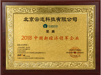 2018 Leading Enterprise in China’s New Economy