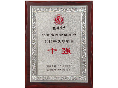 Top 10 in 2015 Outstanding Projects by Shaanxi Chamber of Commerce in Beijing