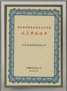 Working Group of 2019 Digital Economy for Better Lives